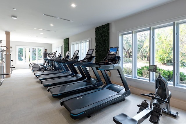 exercise room with plenty of natural light