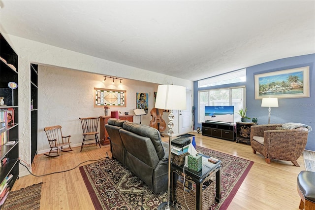 living room with light hardwood / wood-style floors and vaulted ceiling