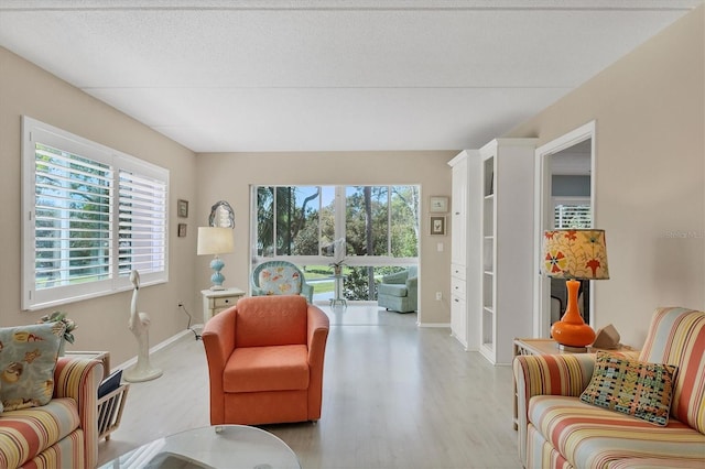 living room featuring light hardwood / wood-style floors