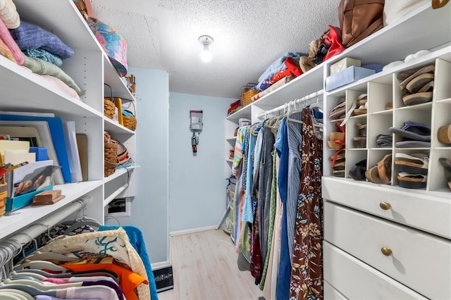 walk in closet featuring light hardwood / wood-style flooring