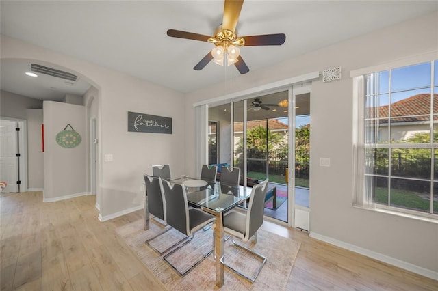 dining area with light hardwood / wood-style floors and ceiling fan