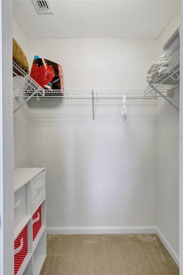 walk in closet featuring carpet floors