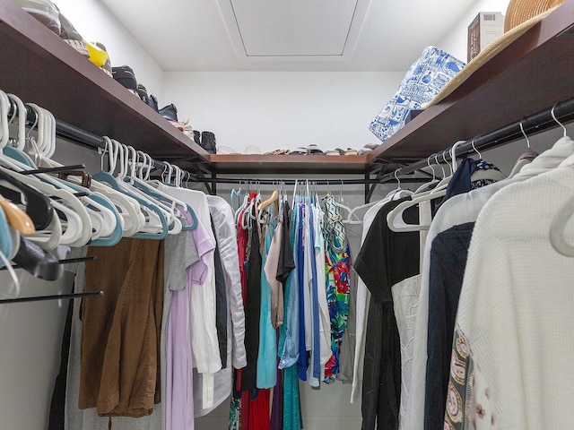 view of spacious closet