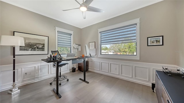 office space featuring ceiling fan, light hardwood / wood-style floors, and ornamental molding