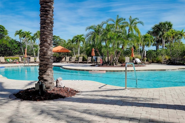 view of swimming pool with a patio