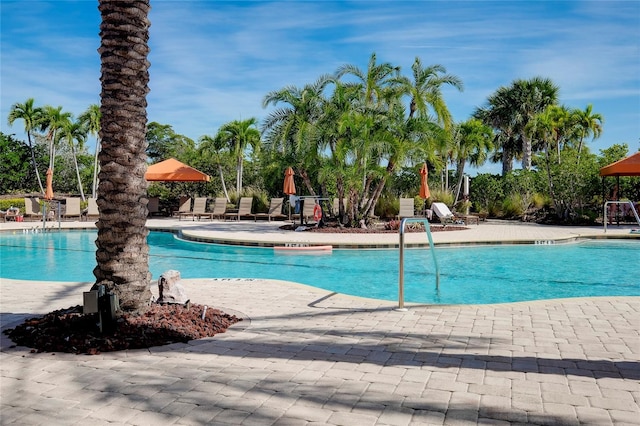 view of pool featuring a patio