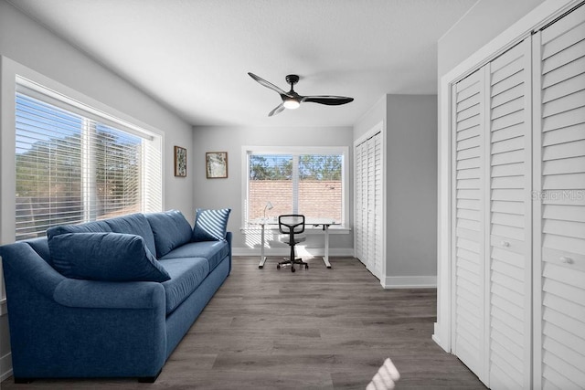 living room with ceiling fan and wood-type flooring