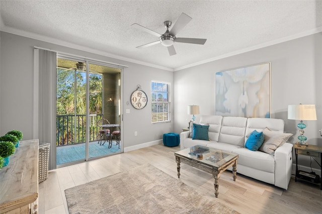 living room with a textured ceiling, ornamental molding, and wood finished floors