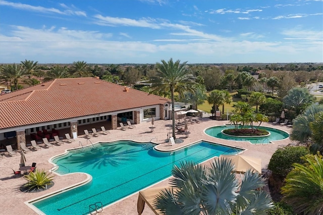 view of pool featuring a patio area