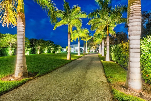 view of community with a lawn