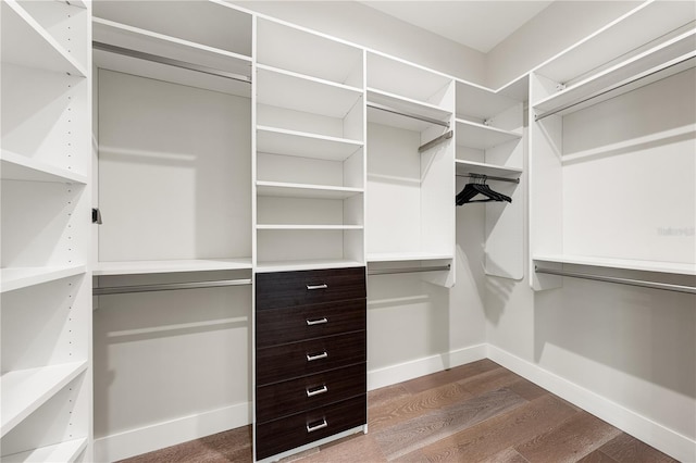 931 Bayshore Rd, Nokomis, FL 34275 - walk in closet featuring dark wood-style floors