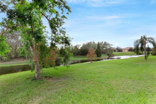 view of yard with a water view