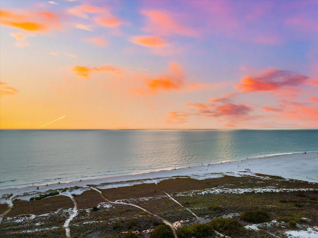 property view of water featuring a beach view