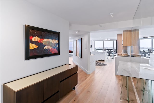 888 Blvd Of The Arts Unit 1705, Sarasota, FL 34236 - hall with light wood-style flooring, recessed lighting, and baseboards