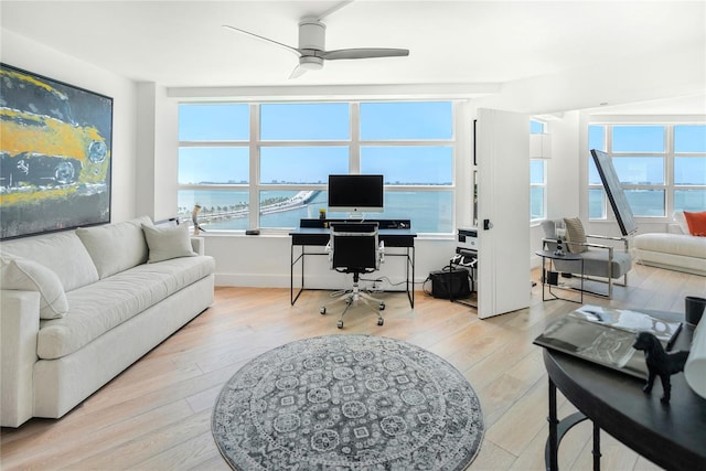 office with ceiling fan and light hardwood / wood-style floors