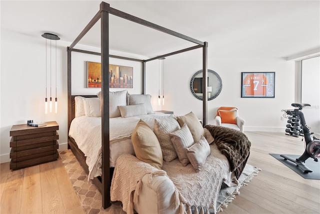 bedroom featuring multiple windows and light wood-type flooring