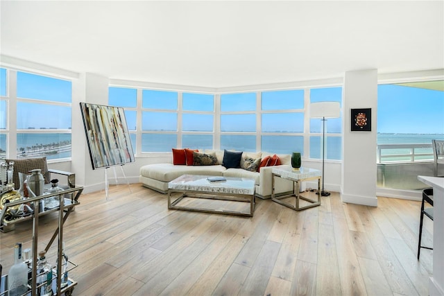 888 Blvd Of The Arts Unit 1705, Sarasota, FL 34236 - living room with hardwood / wood-style floors, a water view, and baseboards