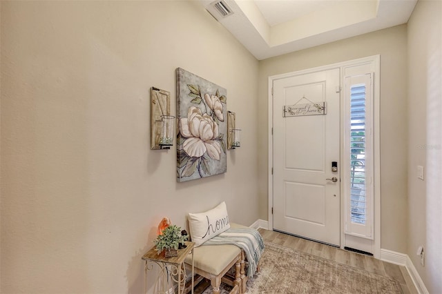 entryway with a raised ceiling and hardwood / wood-style floors