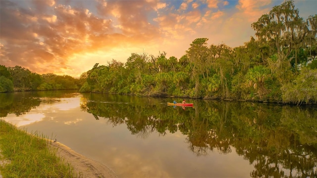 14924 Sora Way, Bradenton, FL 34212 - water view featuring a forest