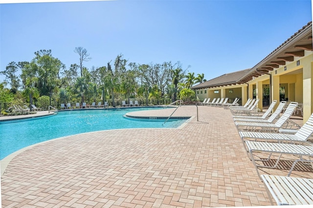 view of pool with a patio