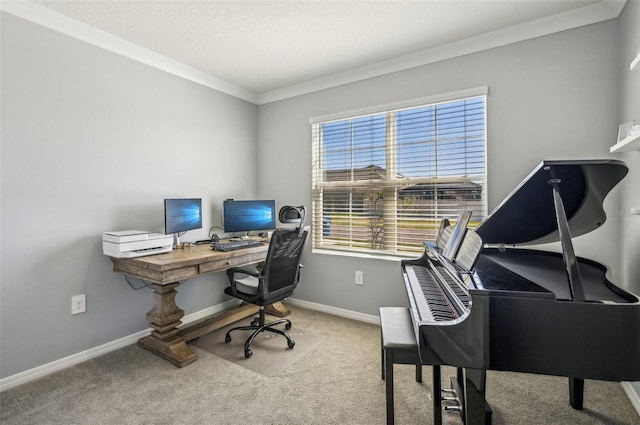 office with carpet floors and ornamental molding