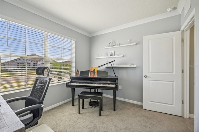 carpeted office with ornamental molding and a healthy amount of sunlight