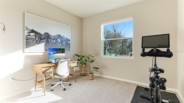 view of carpeted home office