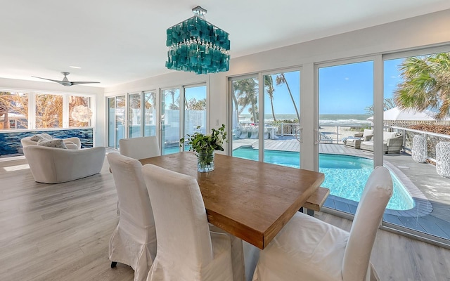 dining area with plenty of natural light, ceiling fan, and light hardwood / wood-style floors