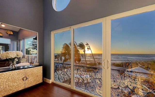 interior space featuring a water view and dark wood-type flooring