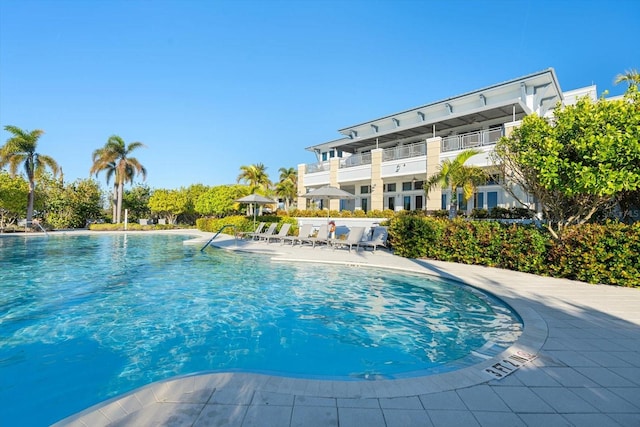 view of swimming pool with a patio area