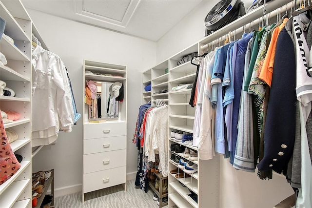 view of walk in closet