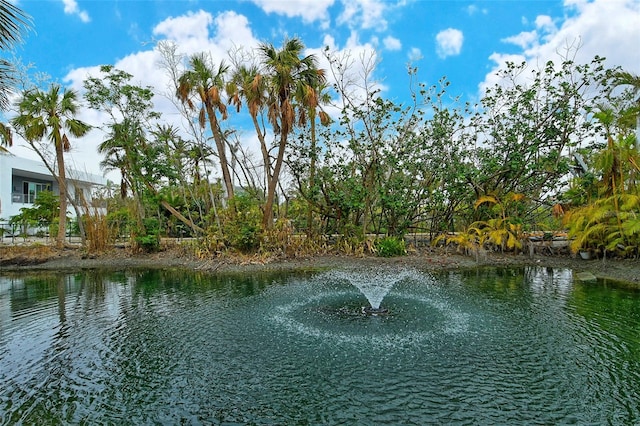 view of water feature