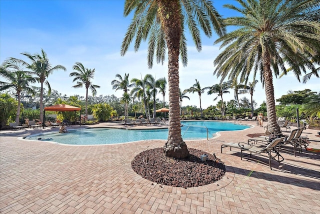 view of swimming pool featuring a patio area