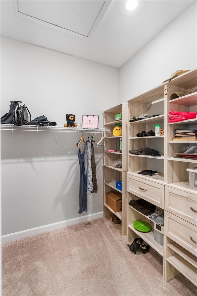 walk in closet featuring light carpet and attic access