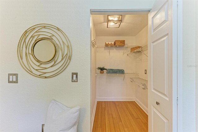 walk in closet featuring light wood-type flooring