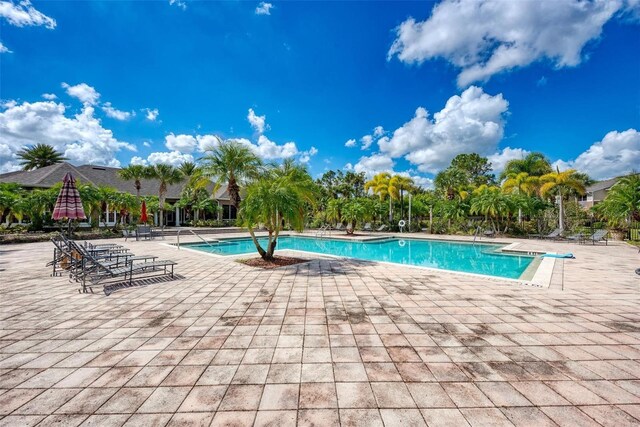 view of pool featuring a patio