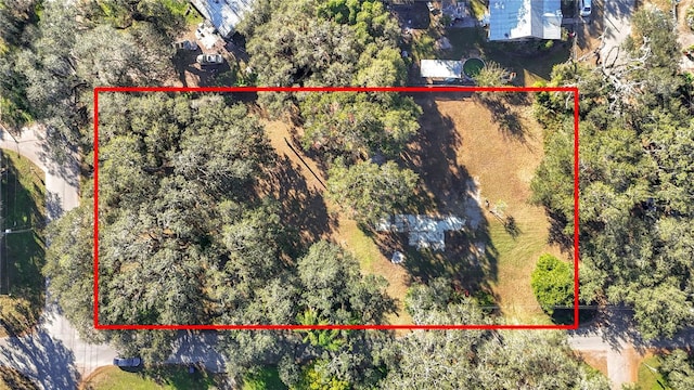 38348 Stebbins Ave, Zephyrhills FL, 33542 land for sale