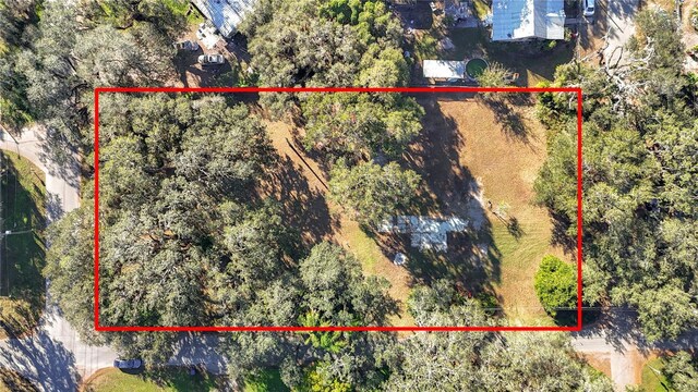 38348 Stebbins Ave, Zephyrhills, FL 33542 - photo 1