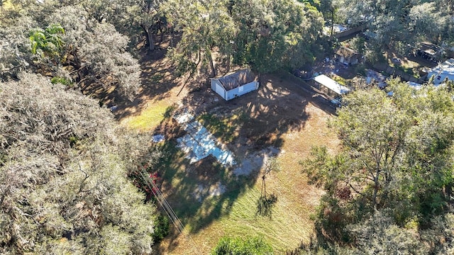 38348 Stebbins Ave, Zephyrhills, FL 33542 - photo 3