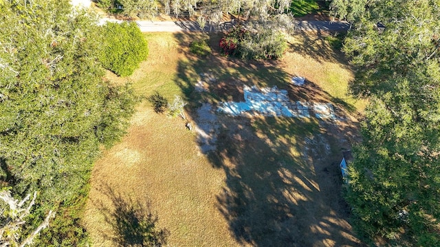 38348 Stebbins Ave, Zephyrhills, FL 33542 - photo 4