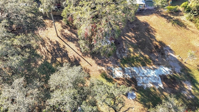 38348 Stebbins Ave, Zephyrhills, FL 33542 - photo 5