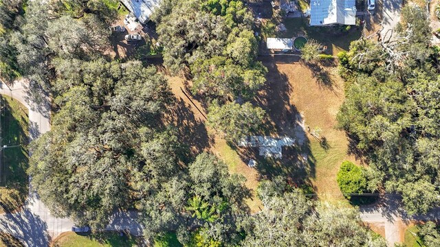 38348 Stebbins Ave, Zephyrhills, FL 33542 - photo 6