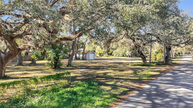 38348 Stebbins Ave, Zephyrhills, FL 33542 - photo 21