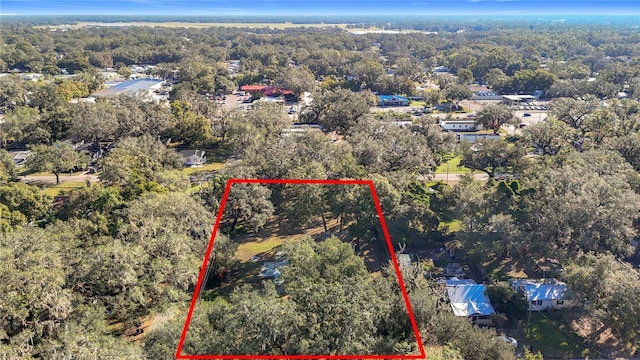 38348 Stebbins Ave, Zephyrhills, FL 33542 - photo 28