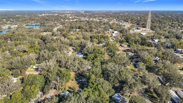 38348 Stebbins Ave, Zephyrhills, FL 33542 - photo 33