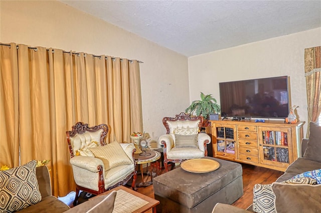 living room featuring hardwood / wood-style floors and a textured ceiling