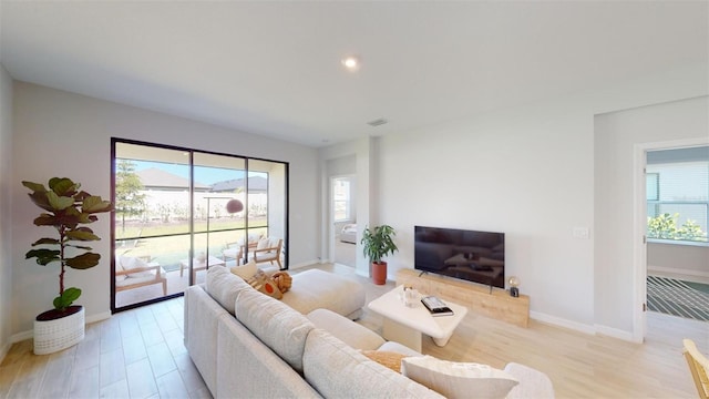 living room featuring light hardwood / wood-style floors