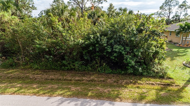 26199 Eager Rd, Punta Gorda FL, 33955 land for sale