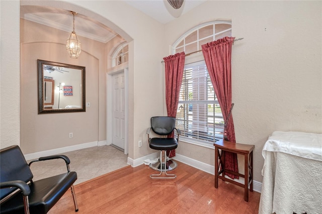 living area with ceiling fan, hardwood / wood-style floors, and ornamental molding