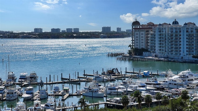 view of water feature featuring a boat dock